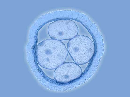 1780881235193969.png 图片1.png