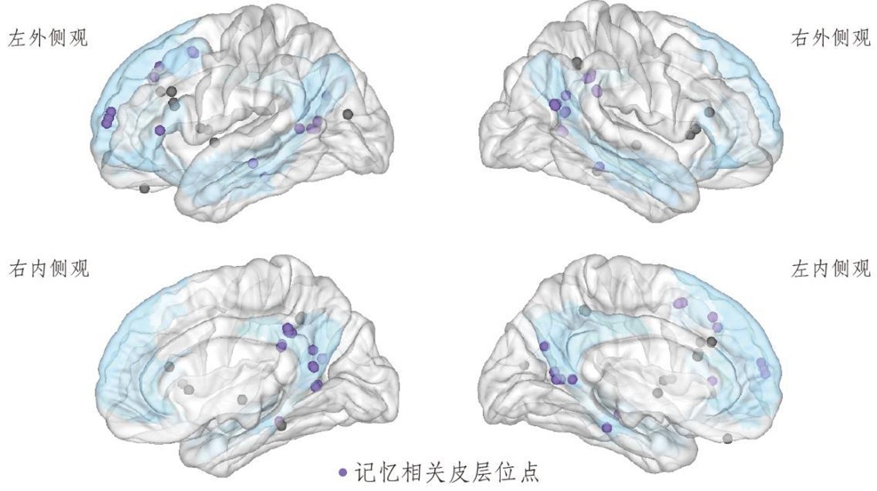 1781743342716212.jpg 图片2.jpg