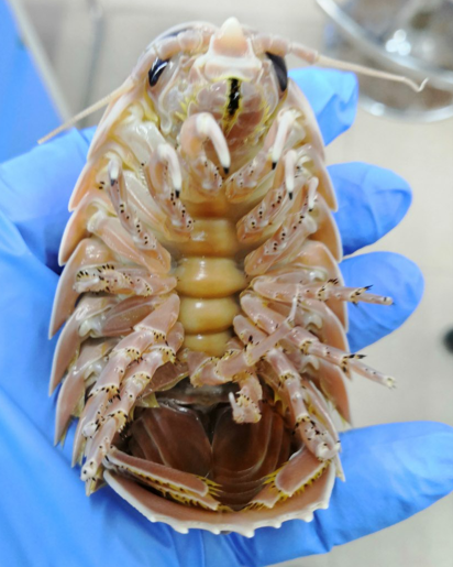 1782264131154698.png 图片3.png