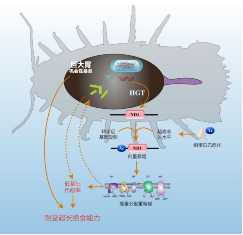 1782264218978122.png 图片7.png